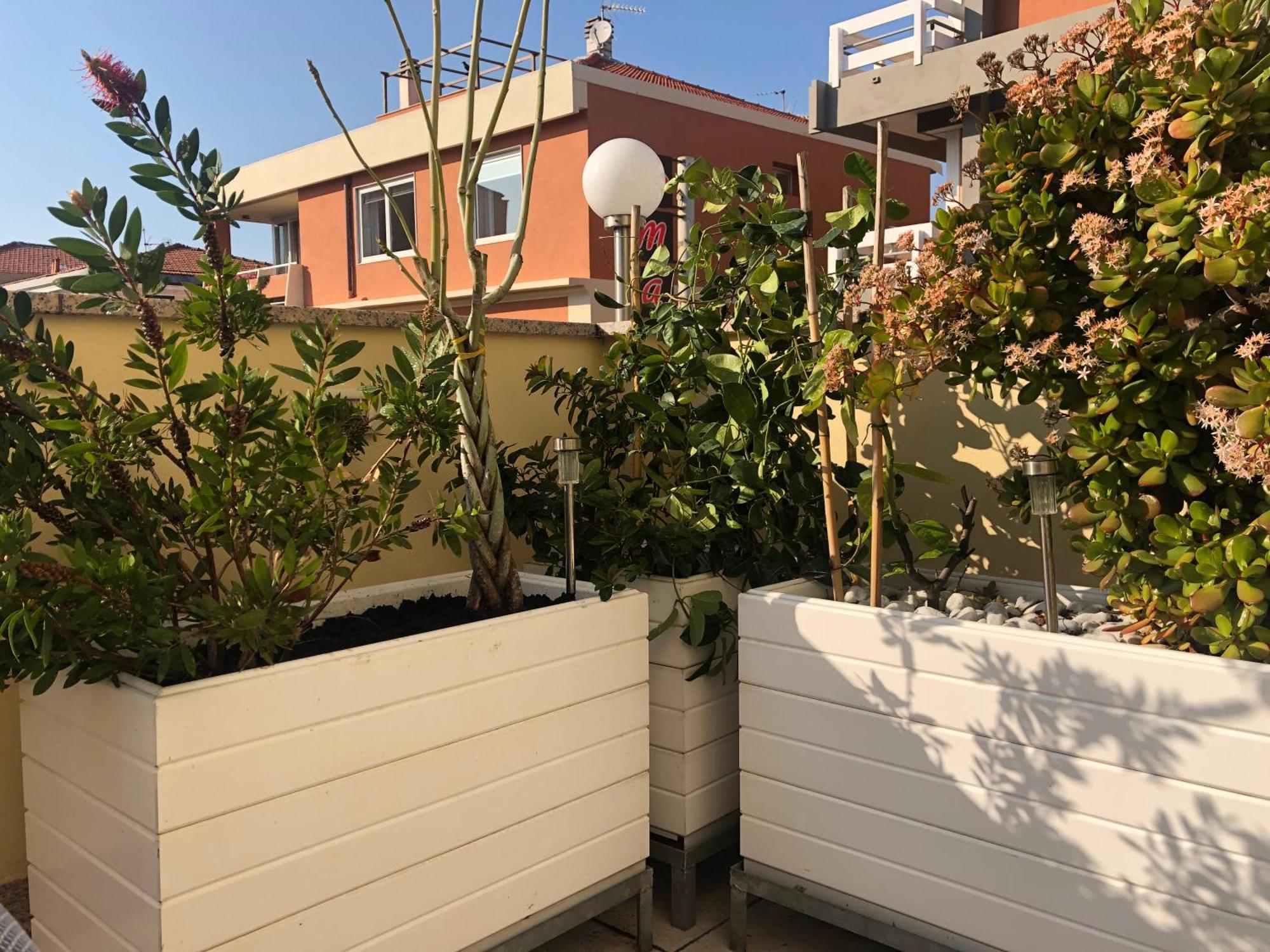 B&B Borgo Marina Бордихера Екстериор снимка