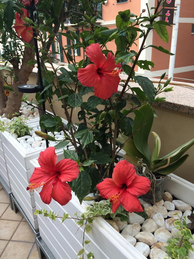 B&B Borgo Marina Бордихера Екстериор снимка